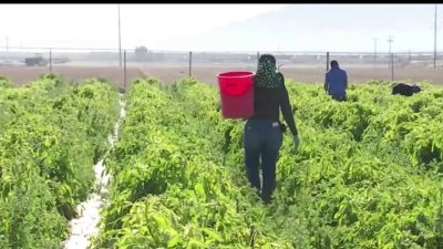 Agencias federales se reunieron para recordar a los trabajadores agrícolas que tienen derechos