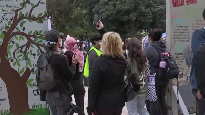Estudiantes establecen un campamento en UCLA en solidaridad con Gaza