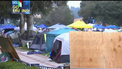 Continúa la tensión entre manifestantes en UCLA