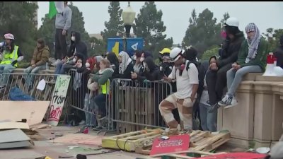 Vuelve la calma a UCLA tras desalojo de manifestantes