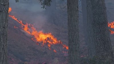 Avances contra incendios forestales en el sur de California