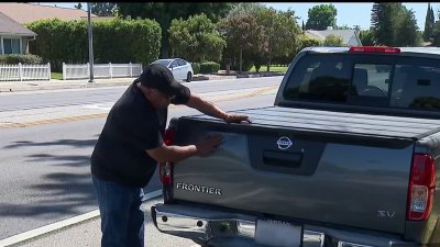 Hombre exige que la ciudad de Los Ángeles repare los daños a su carro tras caída de rama