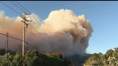 Siguen esfuerzos para controlar el Incendio Mountain en el condado de Ventura