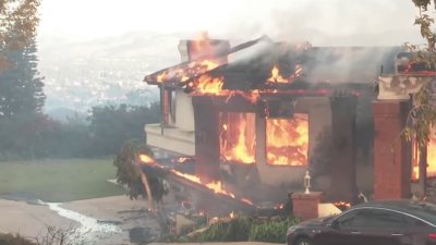 Incendio Mountain arrasa con decenas de casas en el área de Camarillo