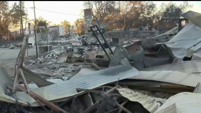 Incendio Mountain arrasa con viviendas en condado de Ventura