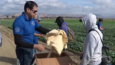 Reparten abrigos a trabajadores del campo