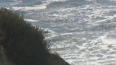 Encuentran pierna de ser humana en orillas de una playa