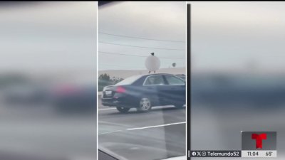 Captan a mujer desnuda sobre un automóvil en Torrance
