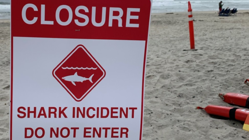 Un hombre de 46 años fue enviado al hospital después de ser mordido por un tiburón en Del Mar alrededor de las 9:00 a.m. del domingo, lo que llevó a los salvavidas de Del Mar a cerrar las playas para nadar y surfear en el área. (Ciudad de Del Mar)