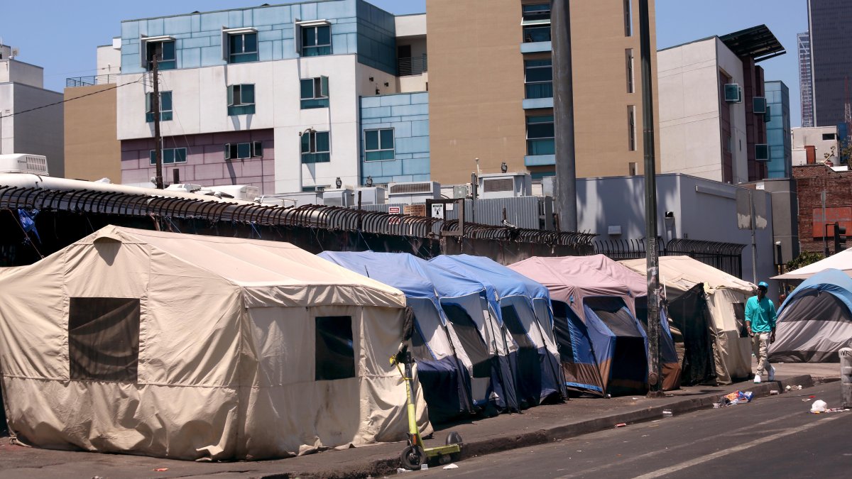 Woman Pleads Guilty to Paying Homeless People to Register to Vote in Los Angeles