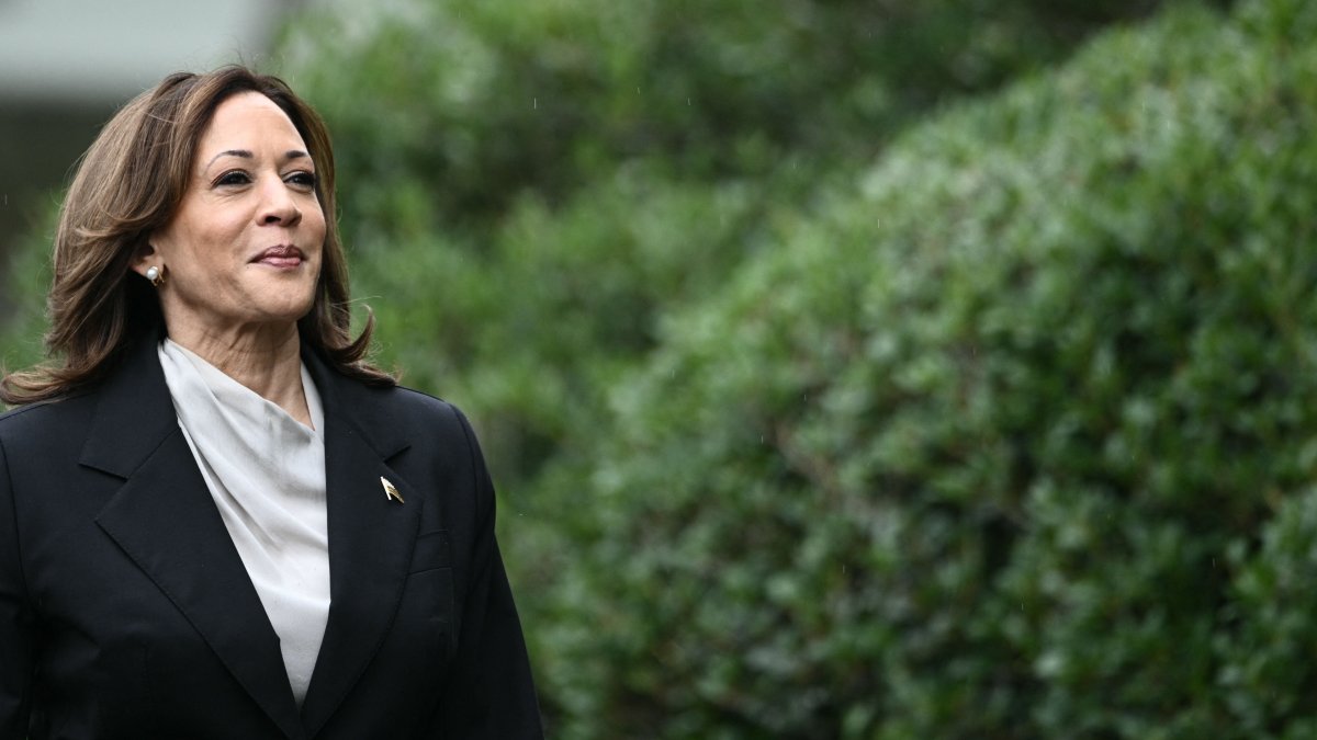 Elecciones en Estados Unidos las posturas de Kamala Harris sobre