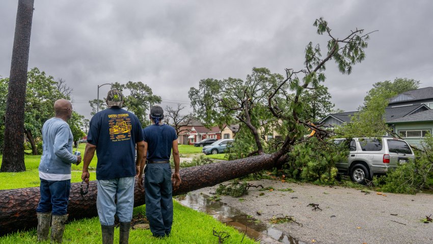 HOUSTON, TEXAS – JULY 08: Residents assess a fallen tree in their in their neighborhood after Hurricane Beryl swept through the area on July 08, 2024 in Houston, Texas. Tropical Storm Beryl developed into a Category 1 hurricane as it hit the Texas coast late last night. (Photo by Brandon Bell/Getty Images)