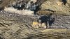 Demanda contra Chiquita Canyon: denuncian derrames tóxicos y contaminación ambiental