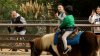 Estudian propuestas para sustituir la atracción de ponis en Griffith Park