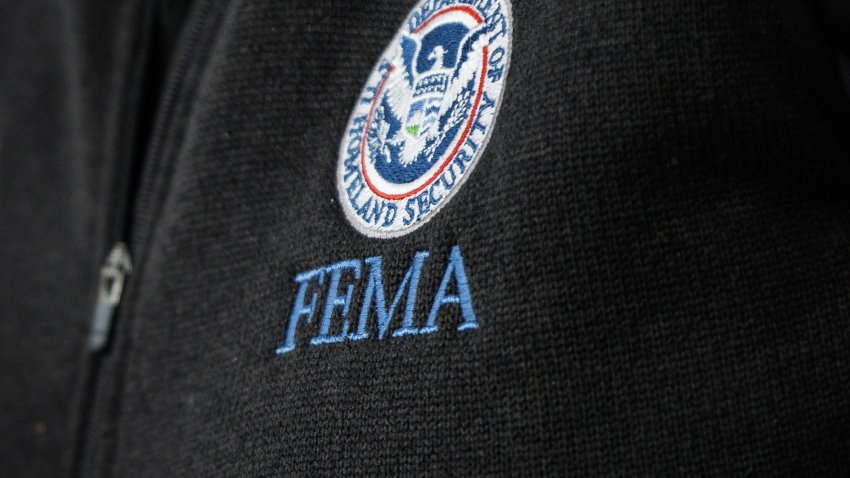 FEMA logo