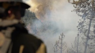 A firefighter looks out on smoke from the Line Fire.