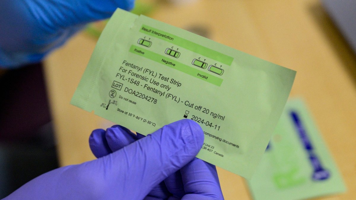 Distribuirán tiras reactivas de fentanilo a estudiantes y familias de Culver City