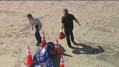 Investigan hallazgo de una cabeza humana en la playa de Key Biscayne