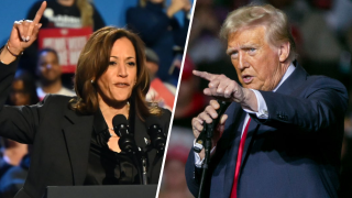 Kamala Harris y Donald Trump afinan sus apuestas y ambos dieron mitines políticos este viernes en Wisconsin.