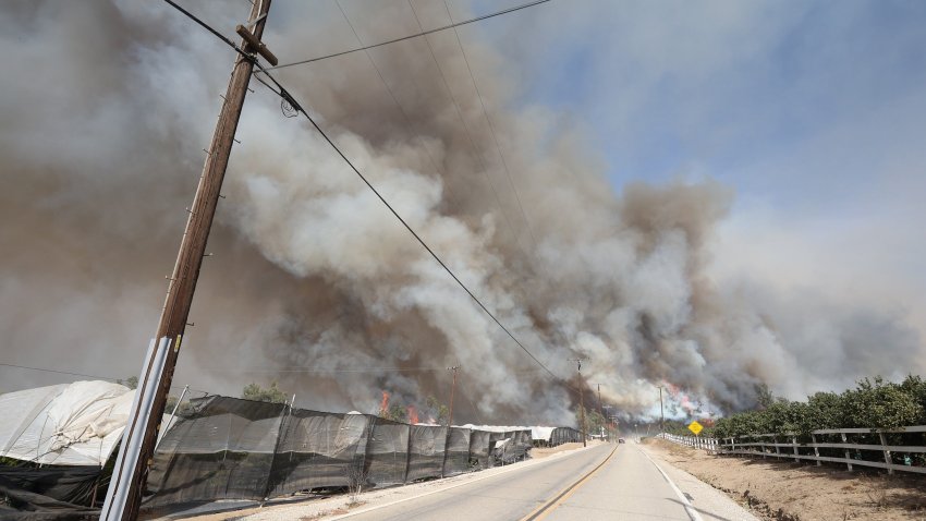 Fire jumps the road on Donlon Road and Kingsgrove Road in Moorpark as part of the Mountain Fire on Wednesday, Nov. 6, 2024.