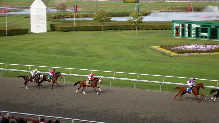 BERKELEY, CA – MARCH 28: Horse Race in action as horses rapidly run towards the finish line.   March 28th 2010 at Golden Gate Fields, California