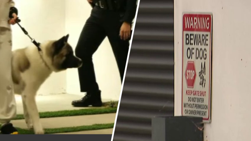 A Beware of Dog sign at a Woodland Hills home.