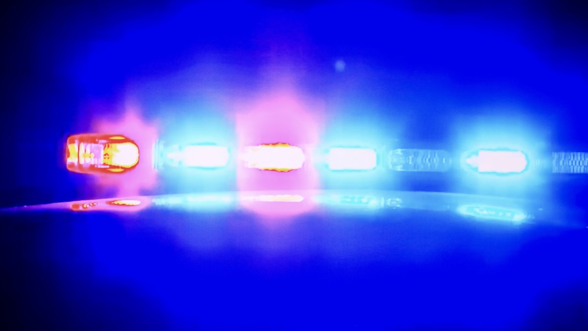 17-Year-Old Injured in Shark Attack Near Galveston