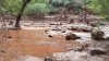 Inundación en el Gran Cañón deja decenas de evacuados; varias personas siguen sin localizar