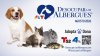 Telemundo 52 y NBC4 presenta el regreso de su campaña anual de adopción de mascotas y donación, “Desocupar Los Albergues”