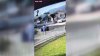 Video parece mostrar a un cartero atacando a un pavo real en Pasadena