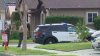Agentes matan a hombre en Bellflower tras hallar a anciana de 80 años en un charco de sangre