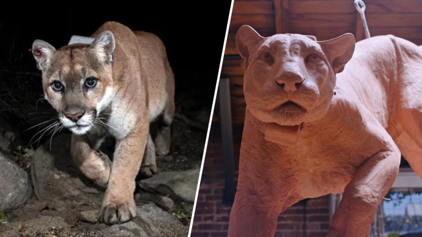 P-22 (left) and his likeness in statue form.