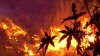 Bomberos de Los Ángeles detienen avance de incendio de maleza en Brentwood