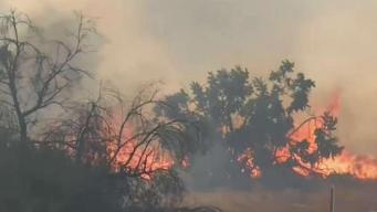 Incendio en Sycamore Canyon se espera que sea contenido el domingo