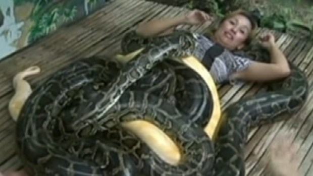 Video: Pitones dan masajes en Filipinas