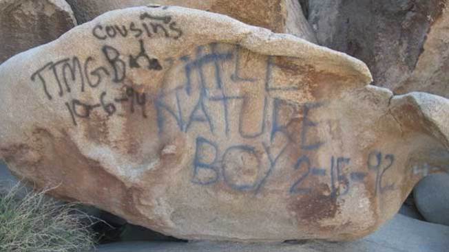 Vandalismo en el parque "Joshua Tree"