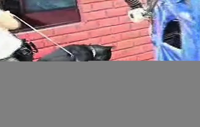 Arrestan a hombre por hacer citas sexuales con menores
