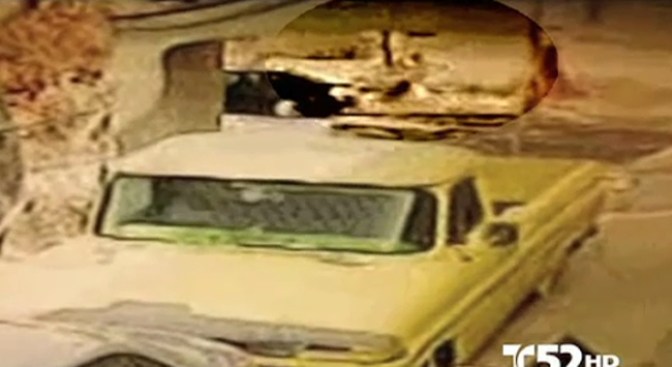 Perro Pitbull ataca mujer sordamuda